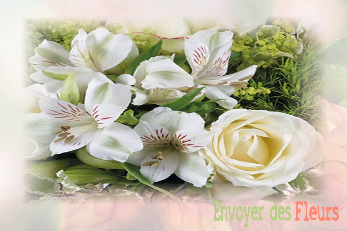 envoyer des fleurs à à VILLENEUVE-LES-LAVAUR