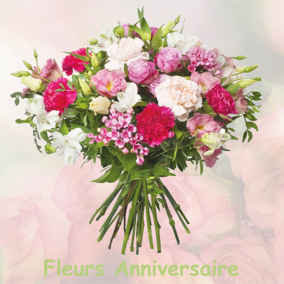 fleurs anniversaire VILLENEUVE-LES-LAVAUR